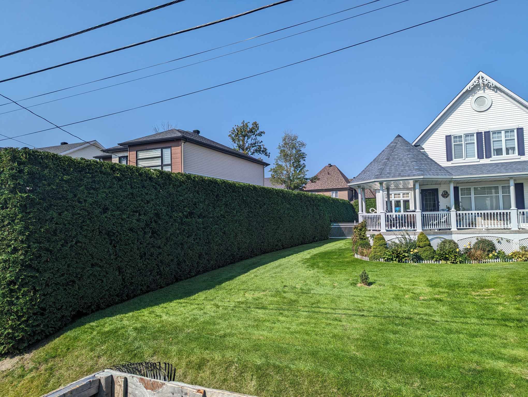 Longue haie de cèdres entretenue au cordeau devant une maison de Carignan