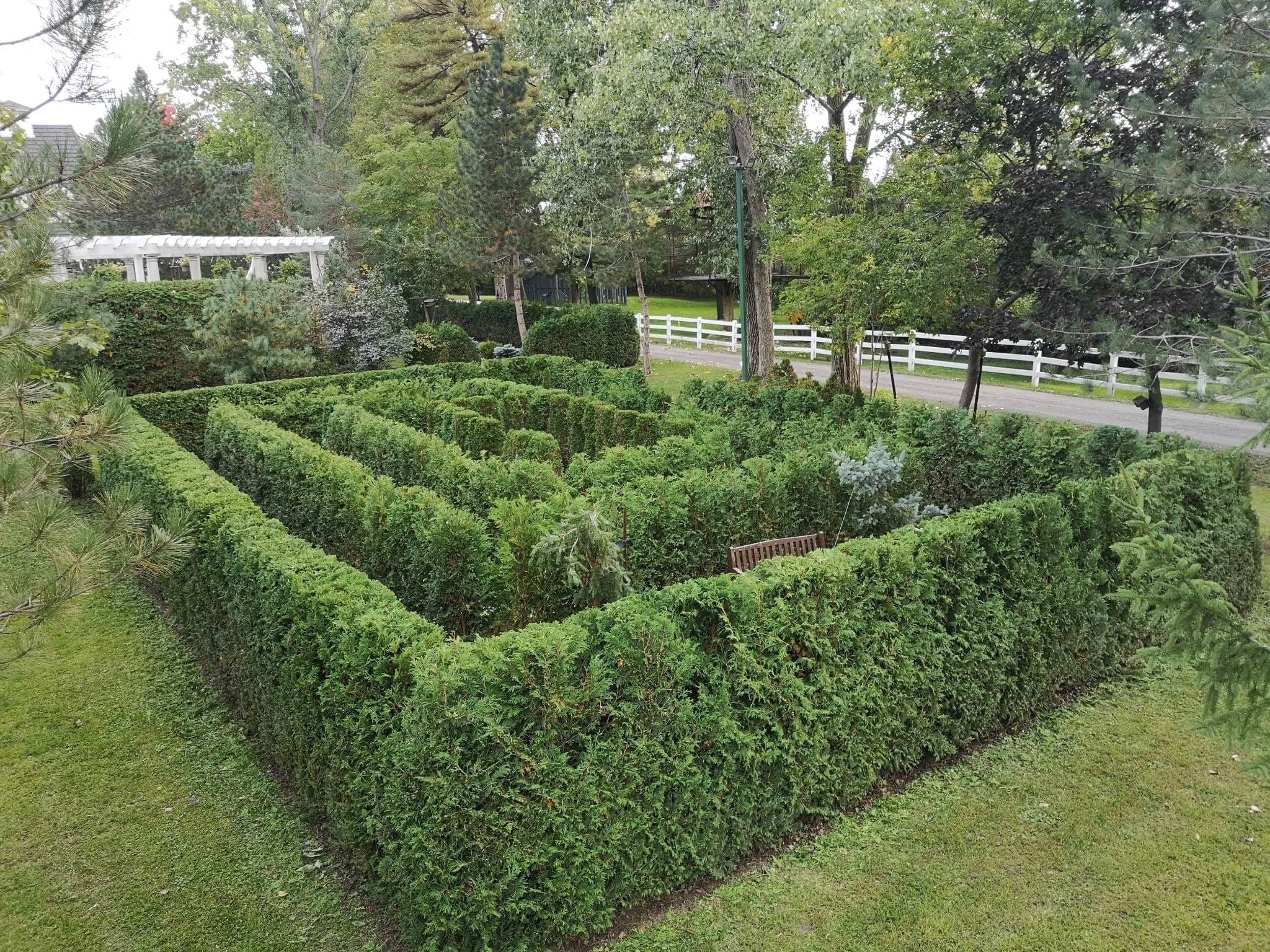 Cedar work by the Gemme sa taille network: Labyrinthe de cèdres