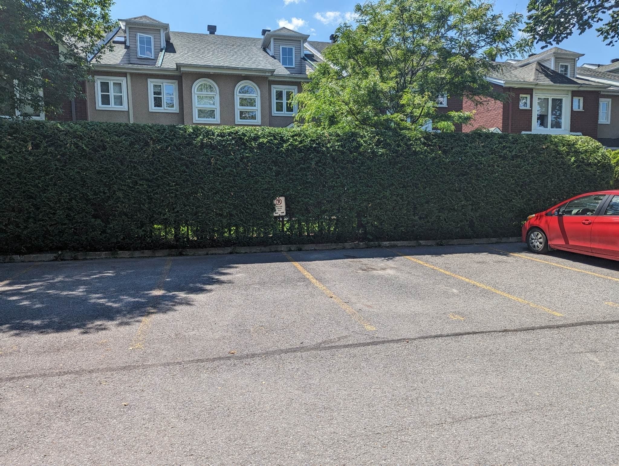 Haie maîtrisée au cordeau le long d'un stationnement à Longueuil