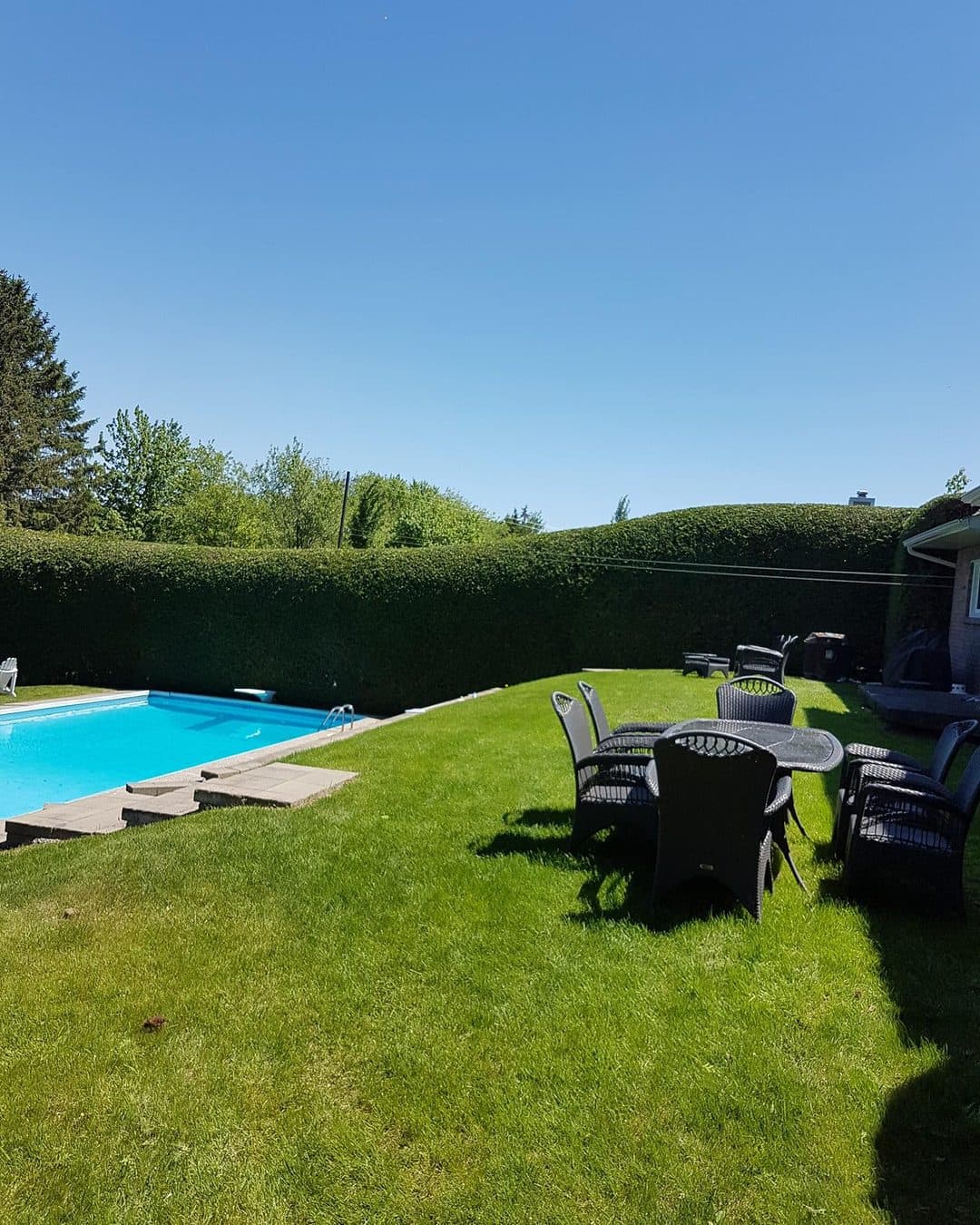 Haie dense qui ferme une cour avec piscine et coin repas